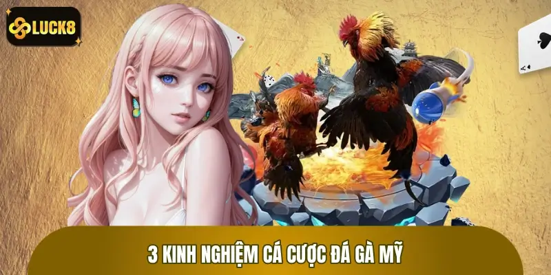 3 kinh nghiệm cá cược đá gà Mỹ bất bại từ sư kê lâu năm