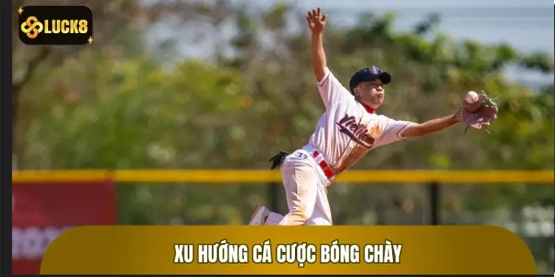 Cá cược bóng chày trực tuyến: Xu hướng và cơ hội mới