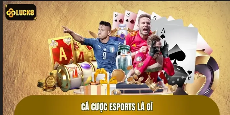 Cá cược Esports Luck8 - LMHT Dota2 CS2 Valorant