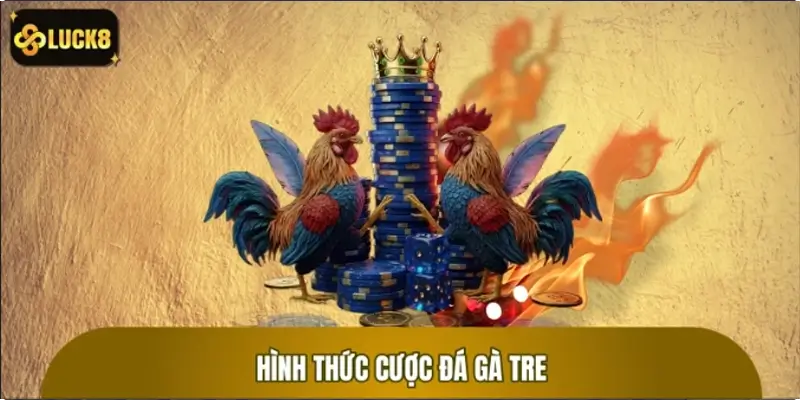 Các hình thức đặt cược đá gà tre phổ biến có thể tham gia