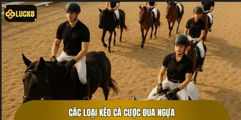 Các loại kèo đua ngựa phổ biến – Biết là đặt chuẩn