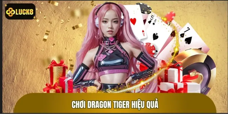 Chơi dragon tiger hiệu quả với những lưu ý quan trọng