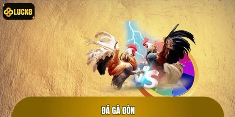 Đá Gà Đòn - Cuộc Chiến Thót Tim, Bùng Nổ Kịch Tính, Sôi Động
