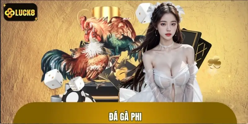 Đá Gà Phi: Sức Bền và Chiến Thuật Khẳng Định Đẳng Cấp
