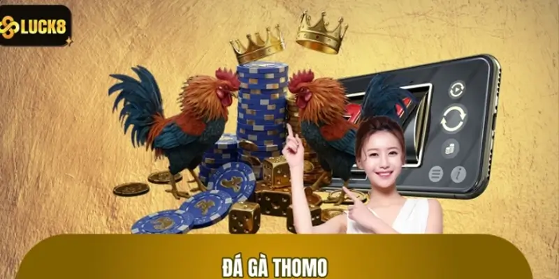 Đá Gà Thomo: Trận Đấu Quyền Lực, Chiến Kê Tài Năng Tại LUCK8