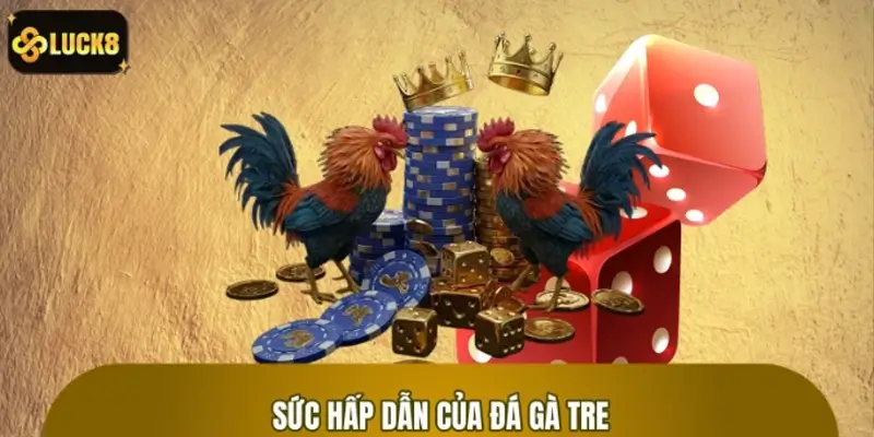 Đá gà tre và sự hấp dẫn trong cá cược hiện đại