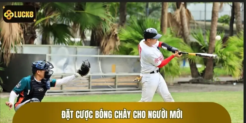 Đặt cược bóng chày cho người mới: Dễ mà hiệu quả