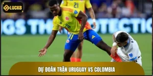 Dự Đoán Trận Uruguay vs Colombia Siêu Chuẩn Cho Bạn