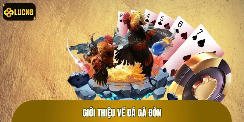 Đá Gà Đòn - Cuộc Chiến Thót Tim, Bùng Nổ Kịch Tính, Sôi Động