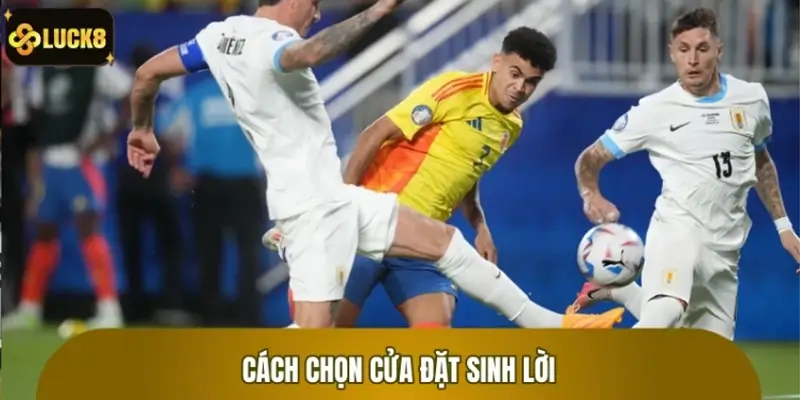 Gợi ý cách chọn cửa đặt sinh lời trận Uruguay vs Colombia