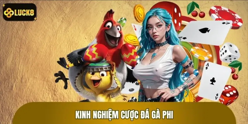 Kinh nghiệm đọc chiến kê trước khi đặt cược đá gà Phi