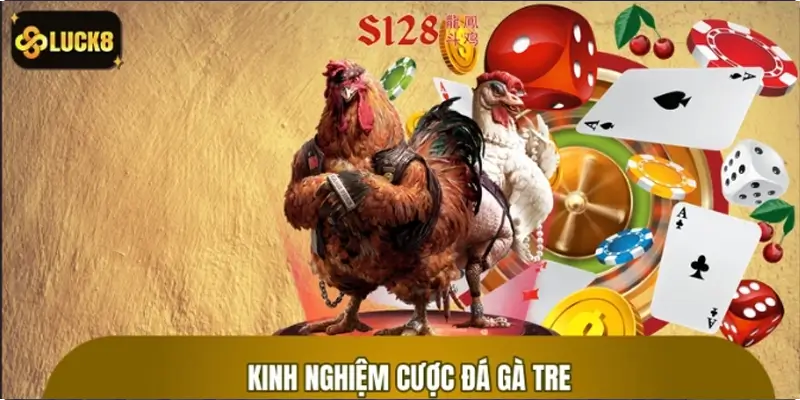 Kinh nghiệm tổng hợp từ cao thủ giúp tăng cơ hội thắng