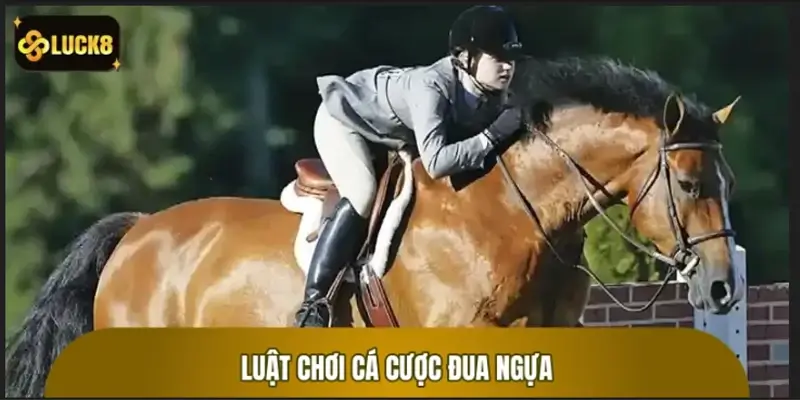 Luật chơi cá cược đua ngựa: Hiểu nhanh trong 3 phút