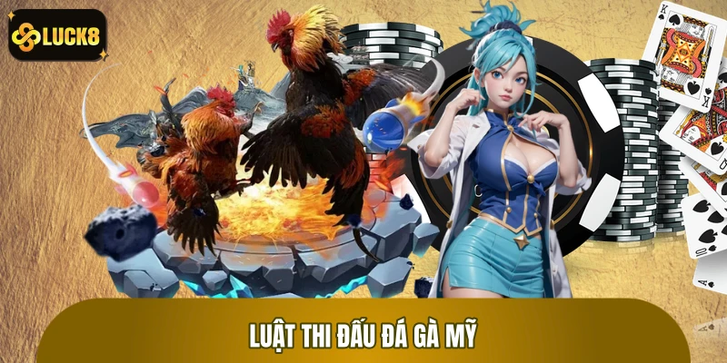 Luật thi đấu đá gà Mỹ tại nhà cái LUCK8 từ A đến Z