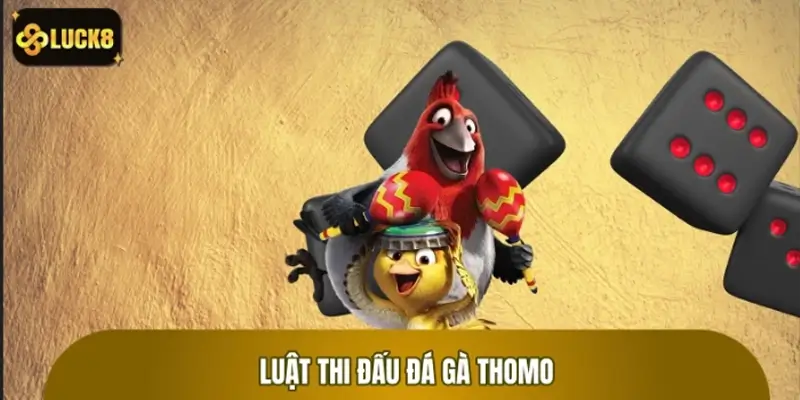 Luật thi đấu và thể thức cơ bản trong đá gà Thomo
