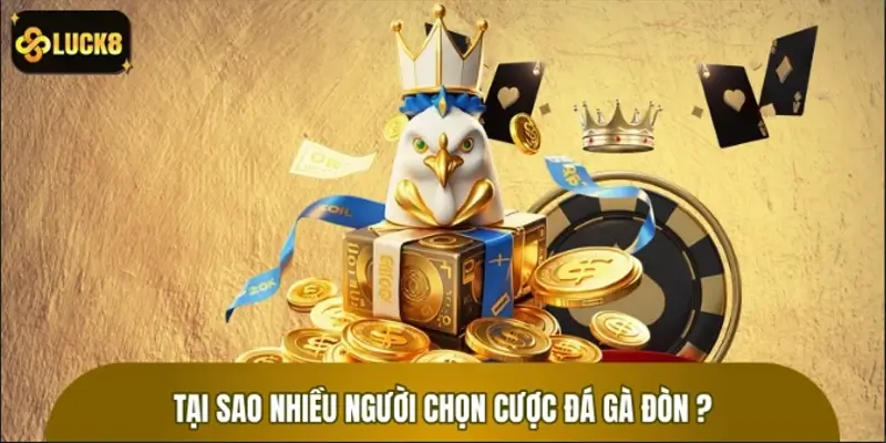 Lý do nhiều người chọn tham gia đá gà đòn tại nhà cái LUCK8