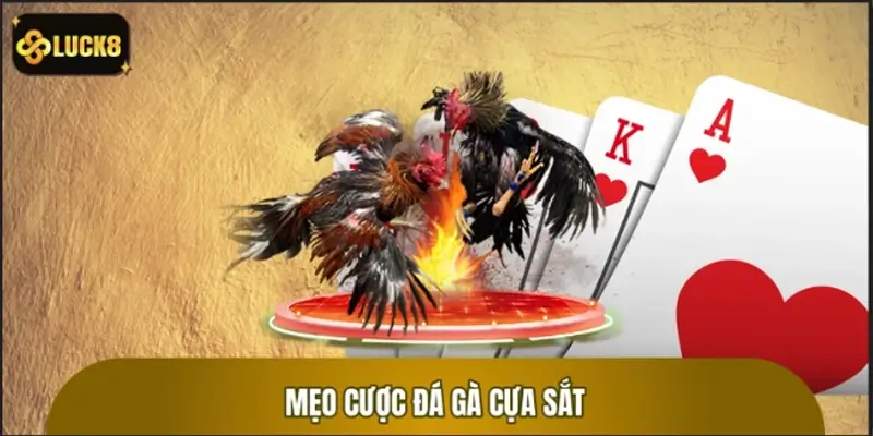 Mẹo cá cược đá gà cựa sắt siêu hiệu quả tại nhà cái LUCK8
