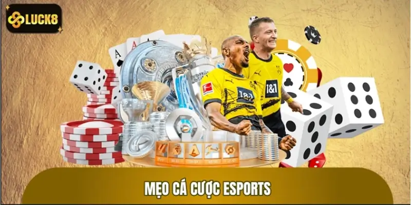 Mẹo cá cược esports giúp bạn đi trước đám đông