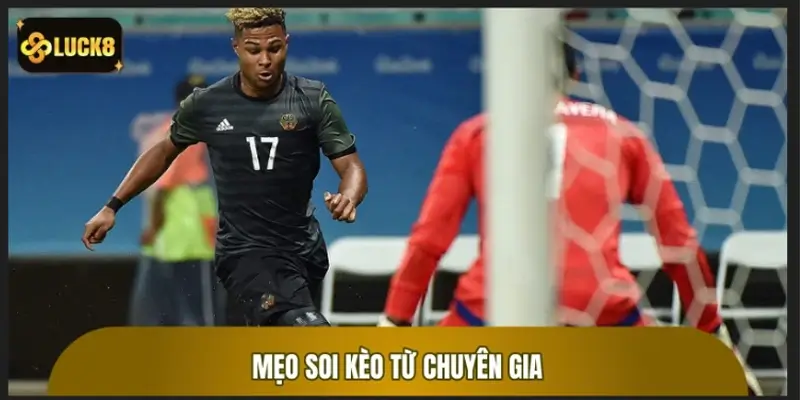 Mẹo soi kèo từ chuyên gia để dự đoán trận Đức vs Nhật Bản chuẩn xác