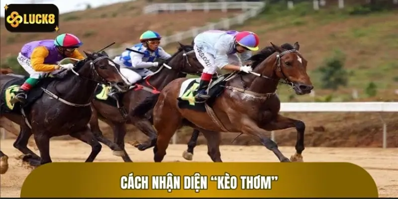 Nên theo kèo nào? Cách nhận diện “kèo thơm”