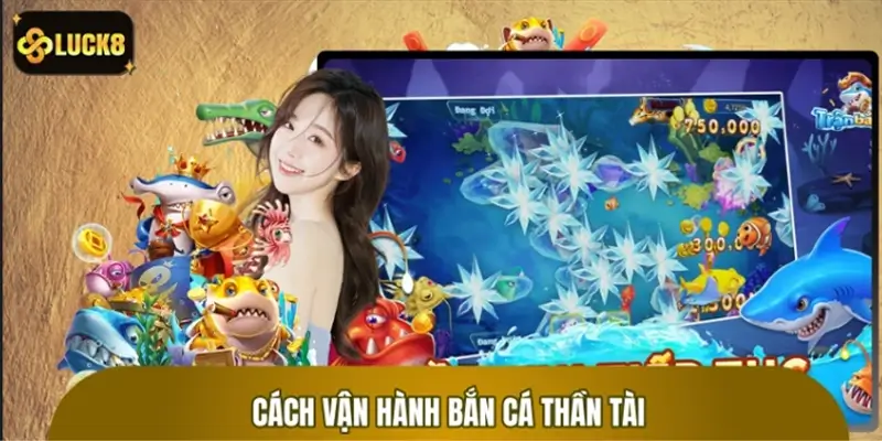 Quy tắc vận hành ngư trường săn thưởng bắn cá Thần Tài